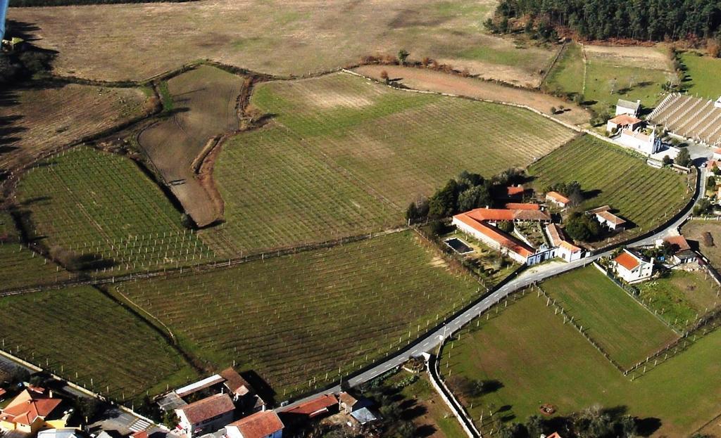 Gaifar Quinta De Santa Baiaゲストハウス エクステリア 写真